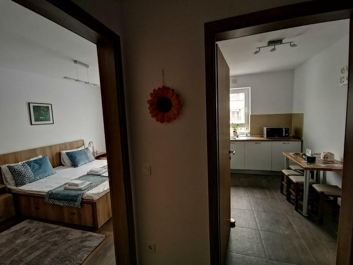 Mei Braşov Esterno foto